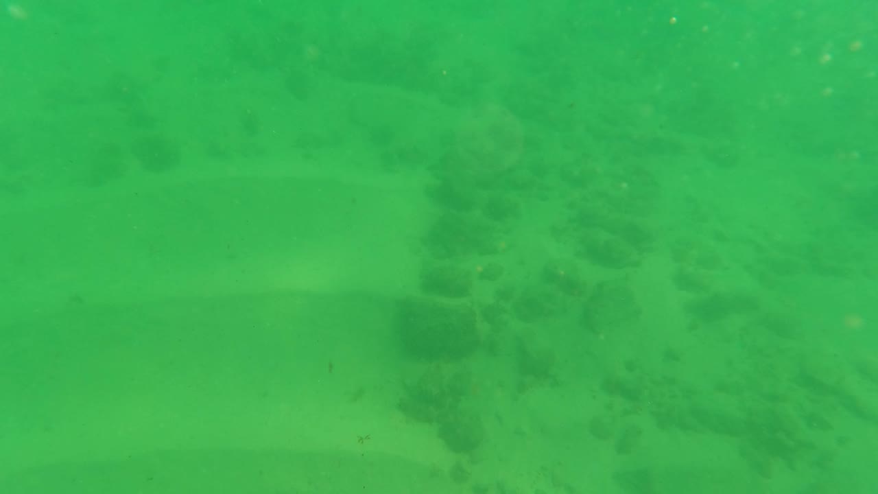 Opening underwater frame in Los Barriles, Baja California Sur, with green water over a sandy seabed and faint rock shapes in the distance, no visible people.
