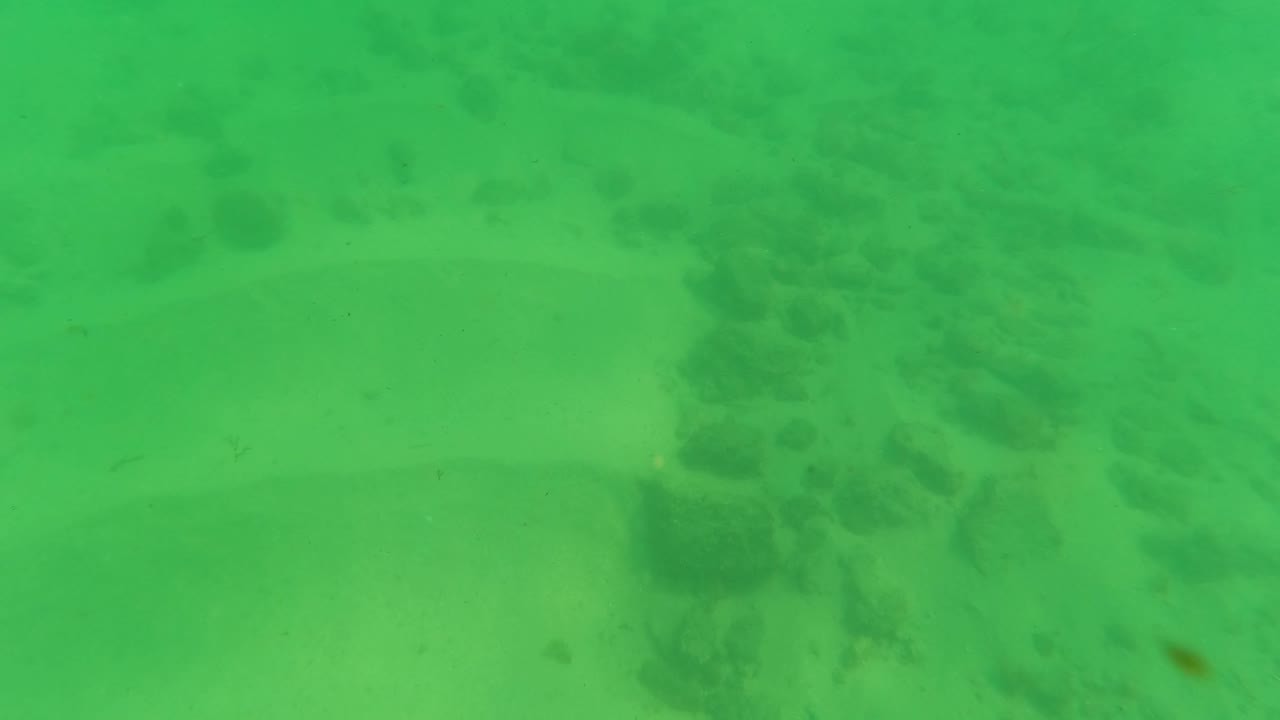 Early underwater frame in Los Barriles, Baja California Sur, showing a sandy ocean floor with low scattered rocks emerging through green-tinted water, no visible people.