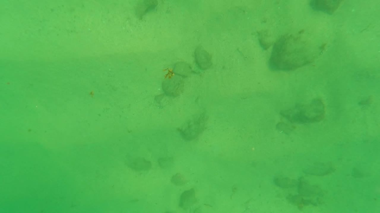 Mid-early frame in Los Barriles, Baja California Sur, with darker rock clusters on a pale sandy seabed under a green water cast, no visible people.