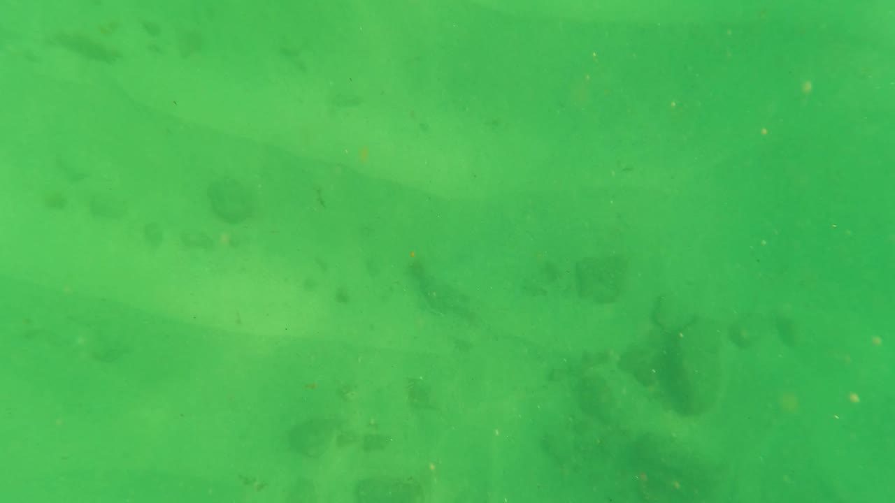Green underwater view in Los Barriles, Baja California Sur, showing a sandy bottom with more clustered dark patches visible through suspended particles and no visible people.