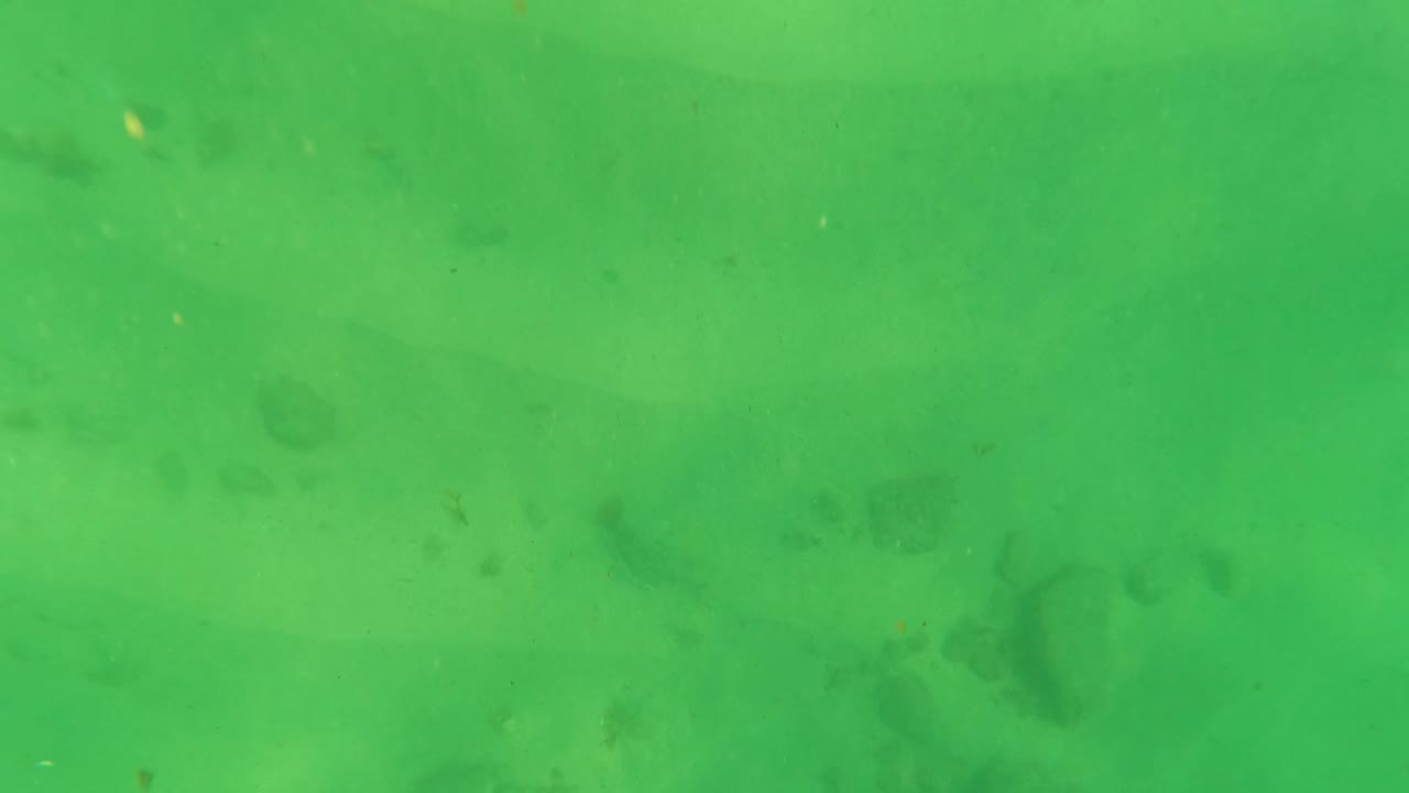 Mid-clip frame from Los Barriles, Baja California Sur, with a green cast over sand, faint small fish shapes, scattered seabed patches, and no visible people.