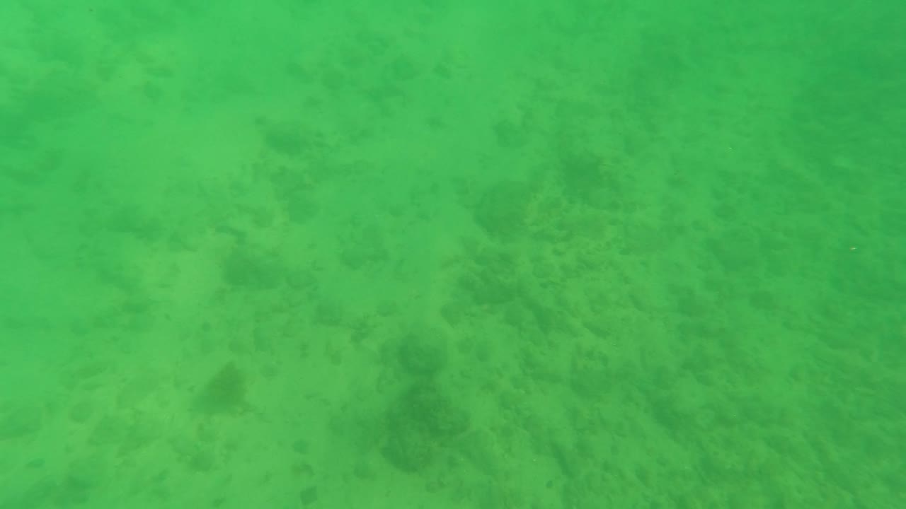 Green underwater view of sandy seabed with faint dark patches.