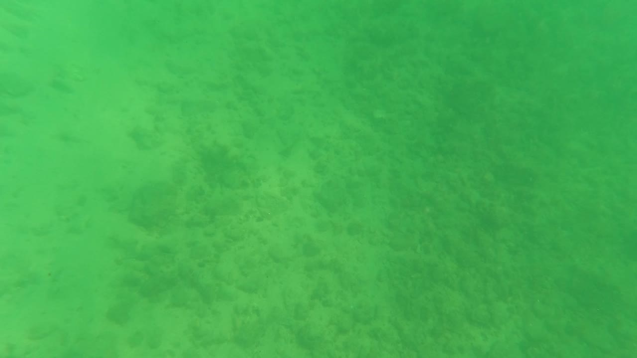 Green underwater frame in Los Barriles, Baja California Sur showing pale sand, scattered darker bottom marks, and a small dark fish shape near the left side with no visible people.