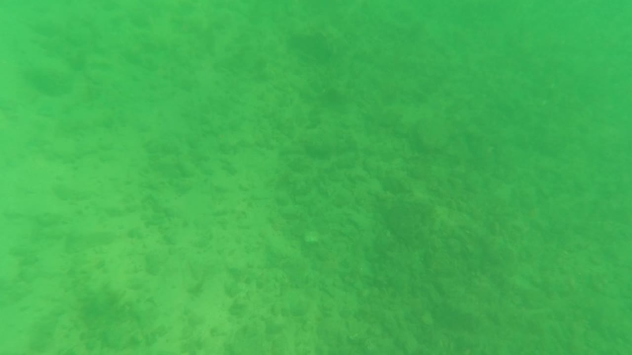 Mid-clip underwater view from Los Barriles, Baja California Sur with the sandy ocean floor filling the frame and a small fish shape visible against the green cast, with no visible people.