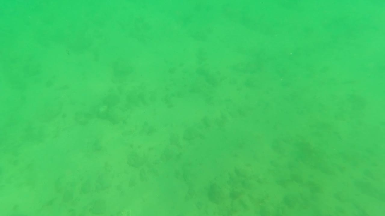 Later frame in Los Barriles, Baja California Sur showing green water, pale sandy bottom, and mottled darker seabed areas, with no visible people in the shot.