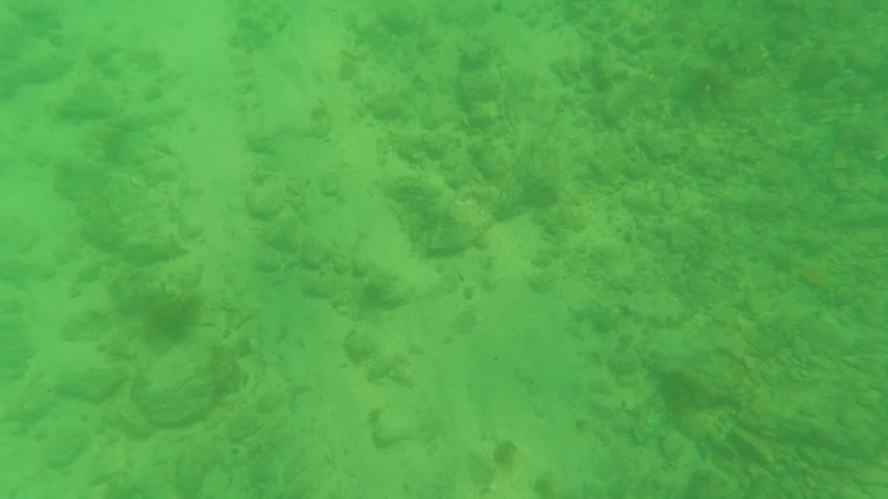 Mid-clip frame from Los Barriles, Baja California Sur showing a blurred underwater view with bright surface glare near the top and no visible people.