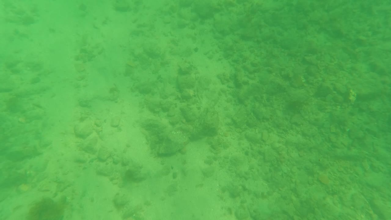 Later frame from Los Barriles, Baja California Sur showing the sandy ocean floor through green water, with darker rock or seaweed patches and no visible people.