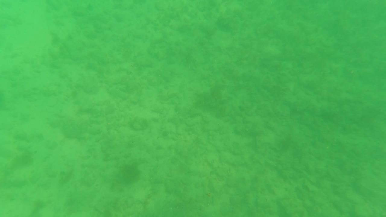 Green-turquoise underwater view of the sandy seabed in Los Barriles, Baja California Sur, with faint darker algae patches and no visible people.