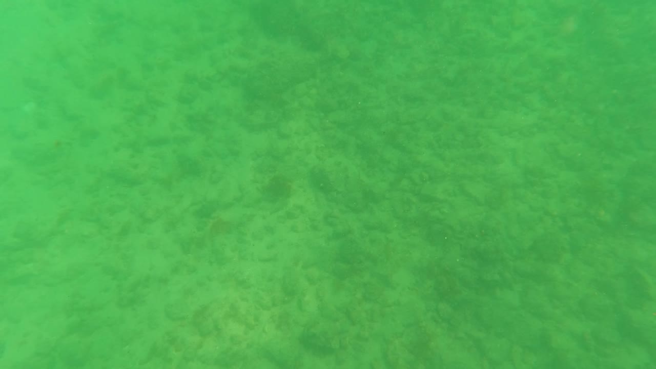 Turquoise-green underwater frame from Los Barriles, Baja California Sur, showing muted seabed detail, algae-like patches, and no visible people.