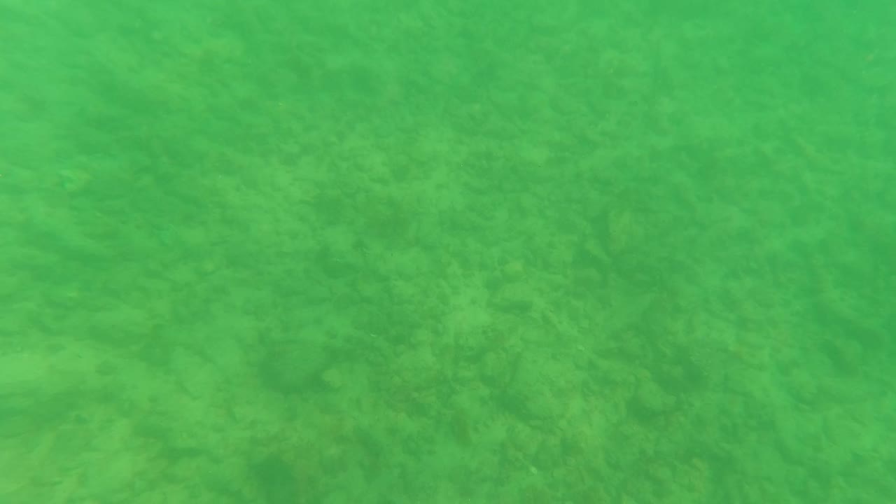 Opening underwater frame from Los Barriles, Baja California Sur, showing green water over a mottled sandy seabed with no visible people.