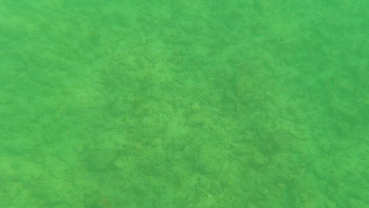 Green water covers a lightly textured sandy ocean floor.