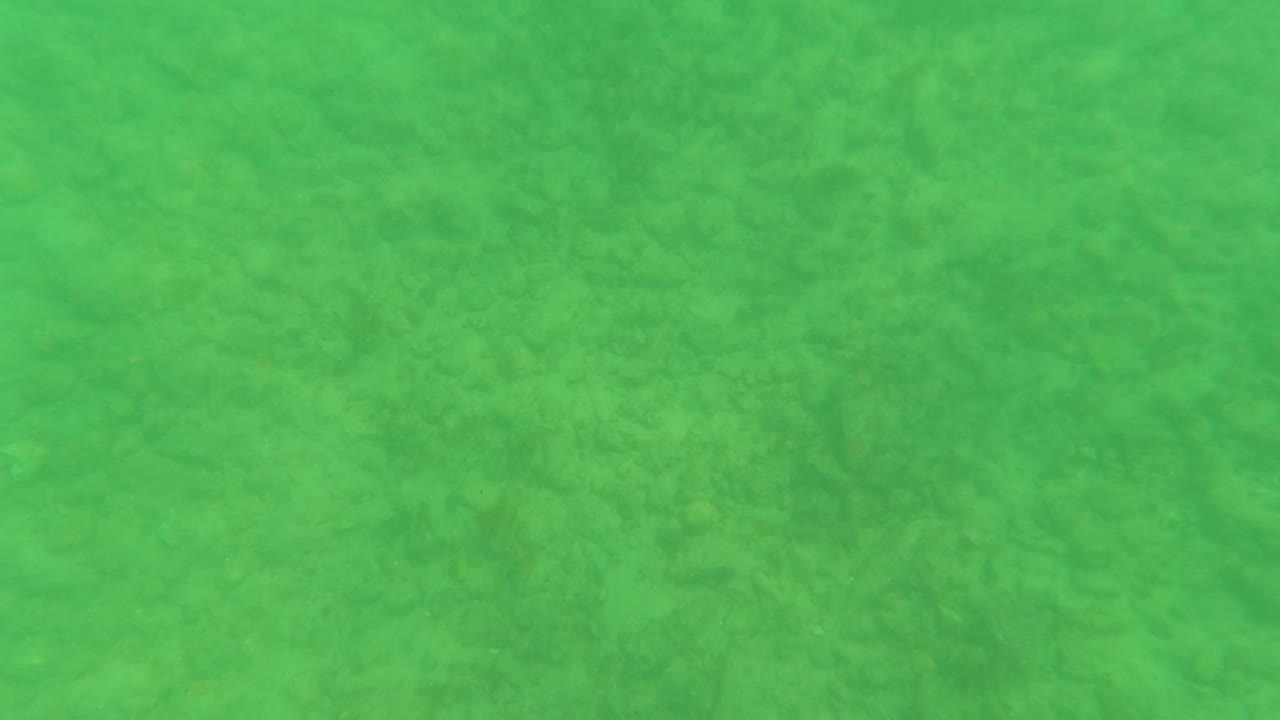 Mid-clip underwater view in Los Barriles showing a mostly uniform green cast over the sandy sediment bottom with no visible people.