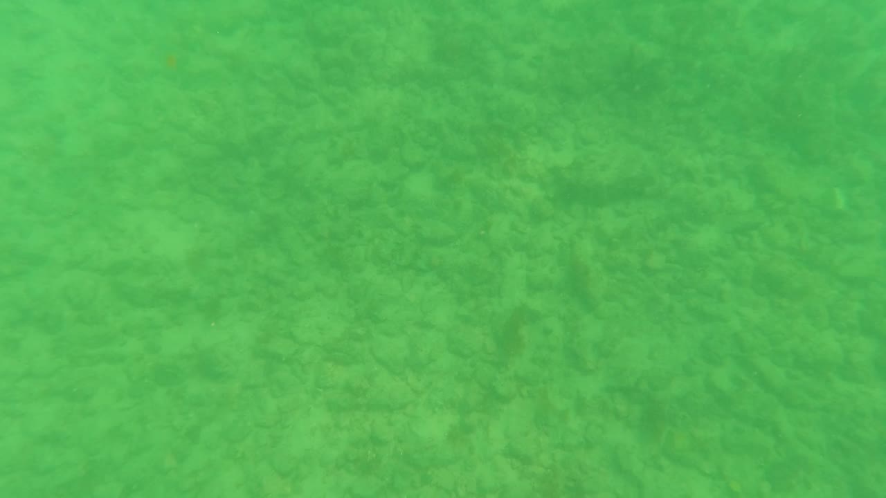 Green underwater view of a textured seabed