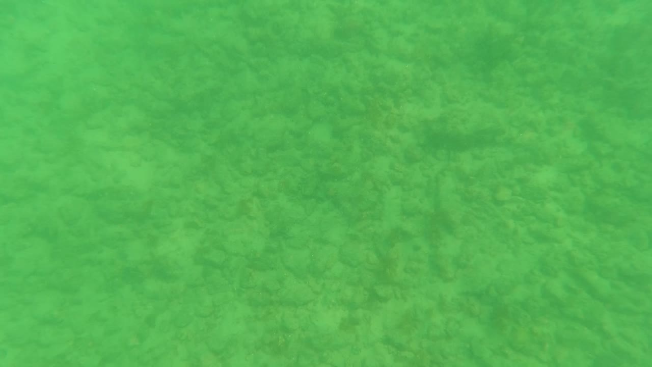 Early frame showing the sandy or rocky ocean floor beneath green water in Los Barriles, with no visible people or identifiable animals.