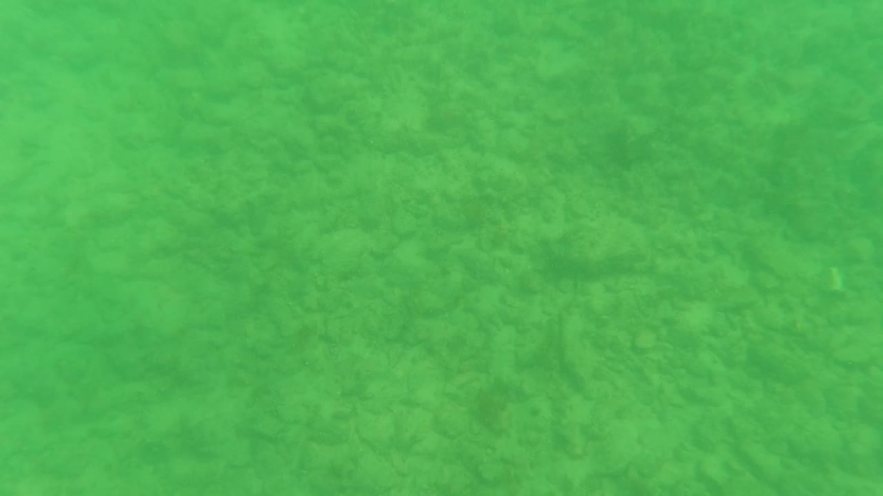 Mid-sequence underwater frame from Los Barriles showing faint seabed texture through green-tinted water and no visible people.