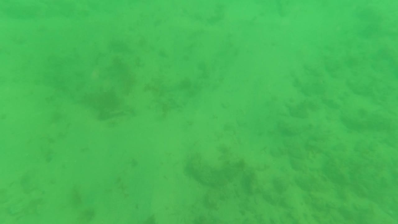 Middle frame in the Los Barriles underwater clip, with green water softening the view of the sandy seabed and faint algae textures across the lower half, no visible people.