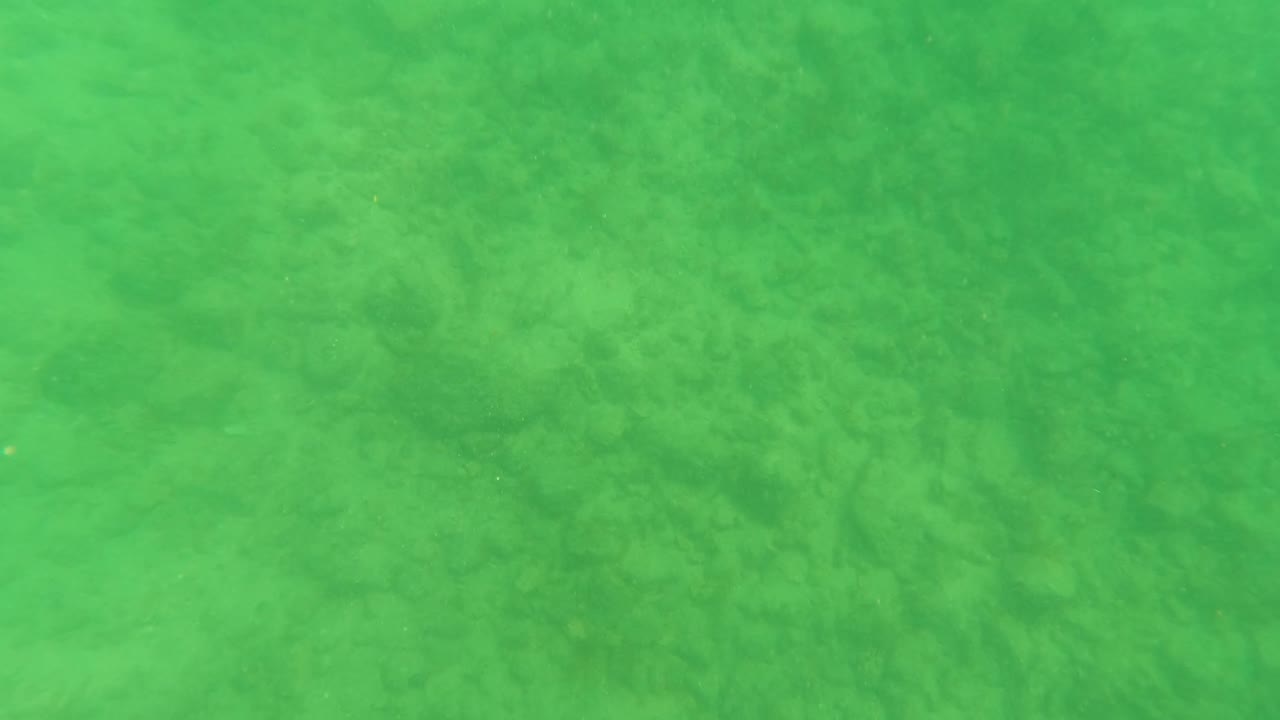 Green underwater view of sandy seabed with faint rocks and vegetation.