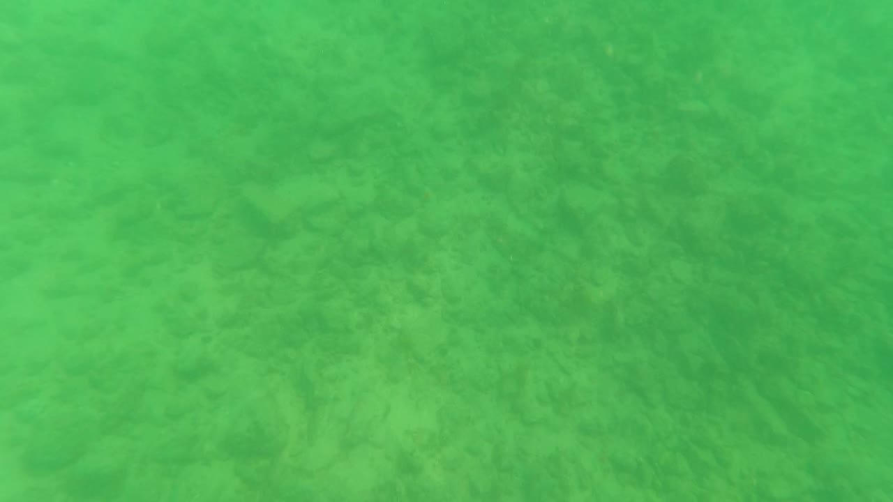Underwater frame from Los Barriles, Baja California Sur, with a broad sandy ocean floor visible through green water and darker patches across the seabed, no visible people.