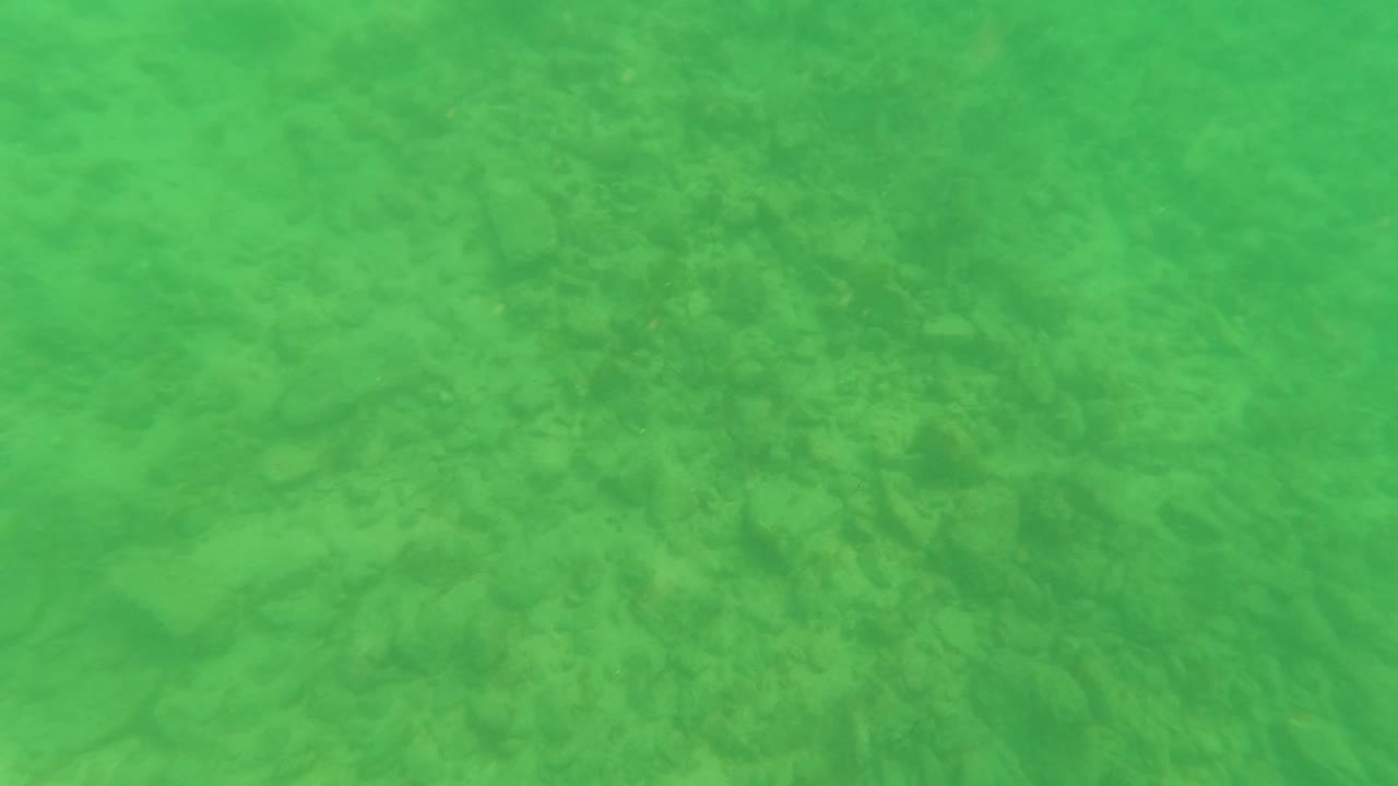 Mid-clip underwater view in Los Barriles, Baja California Sur, showing sand texture under green water with scattered darker rock or vegetation areas and no visible people.