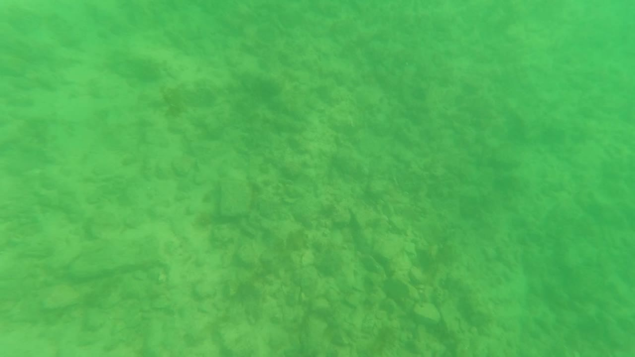 Underwater frame from Los Barriles, Baja California Sur, with muted green water over a sandy seabed and patchy marine vegetation across the lower view, no visible people.