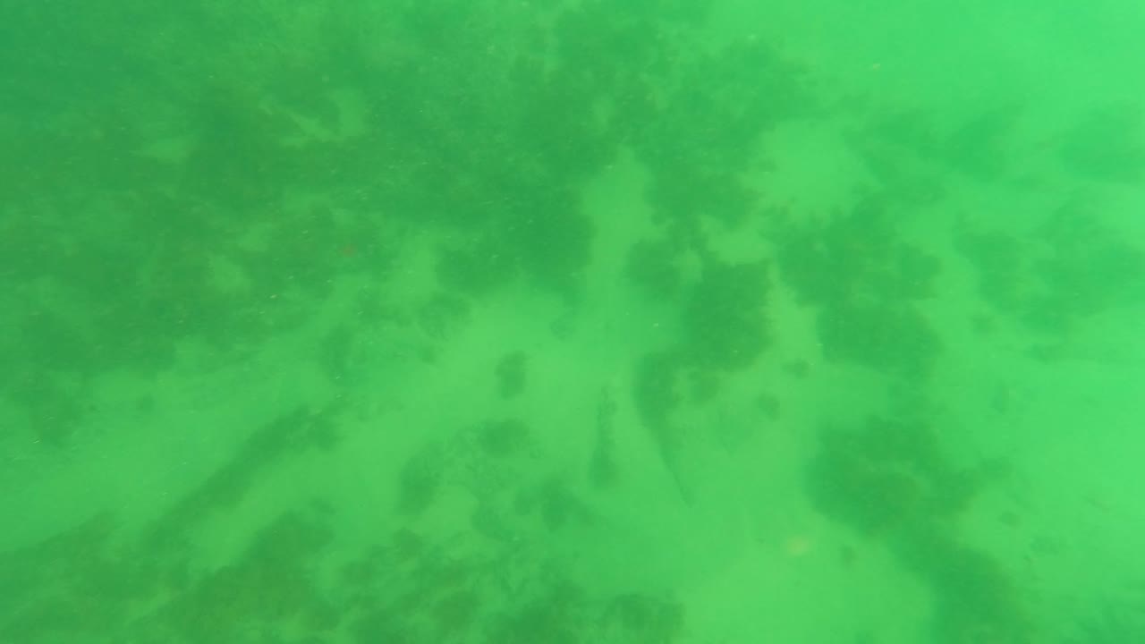 At 0:01, the Los Barriles seabed remains framed from above, with pale sand, soft ripple marks, scattered dark plant growth, and no visible people.