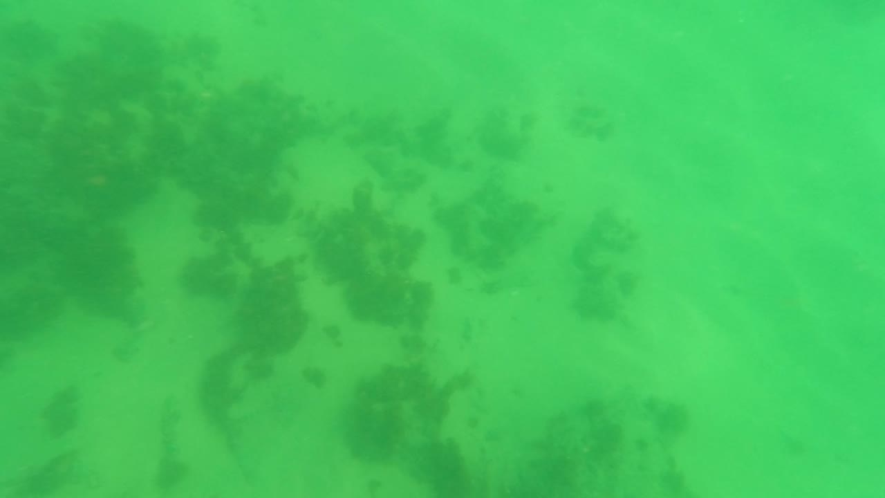 At 0:02, shallow green water covers a rippled sand floor in Los Barriles with irregular darker algae clusters across the upper part of the frame and no visible people.