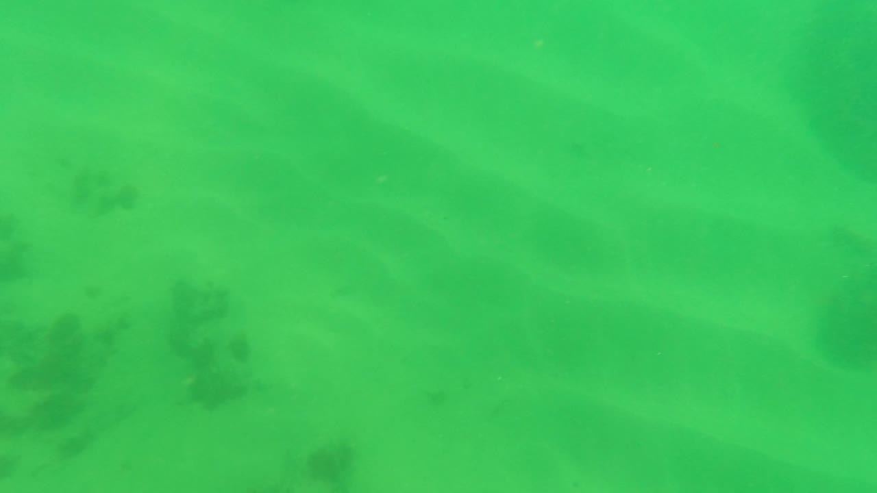 At 0:03, the lower-row view in Los Barriles shows broader sand ripples with sparse darker seaweed or algae patches and no visible people.