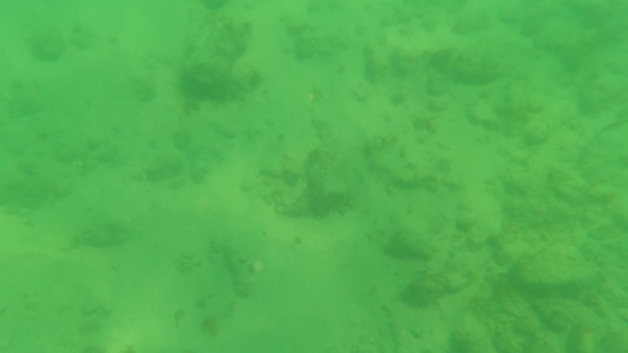 Green underwater view of sandy seabed with scattered dark rocks.