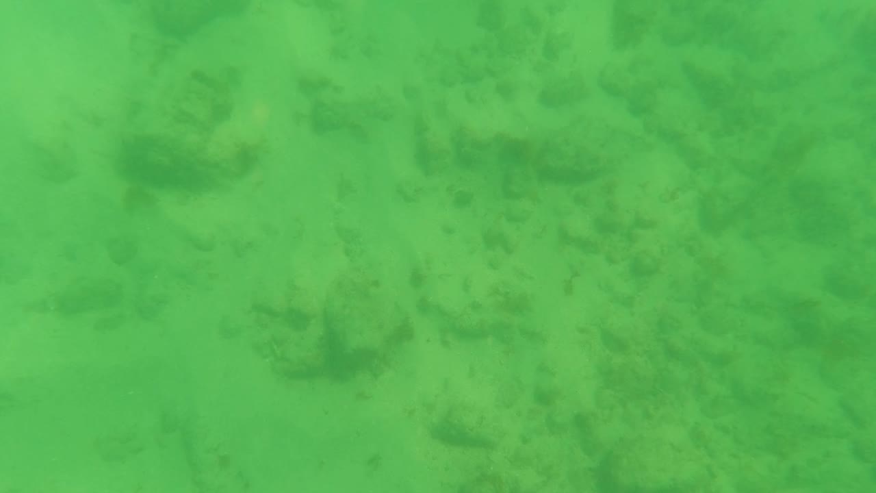 Green underwater frame in Los Barriles showing pale sand, soft sediment patterns, and darker seabed patches near the center, with no visible people.