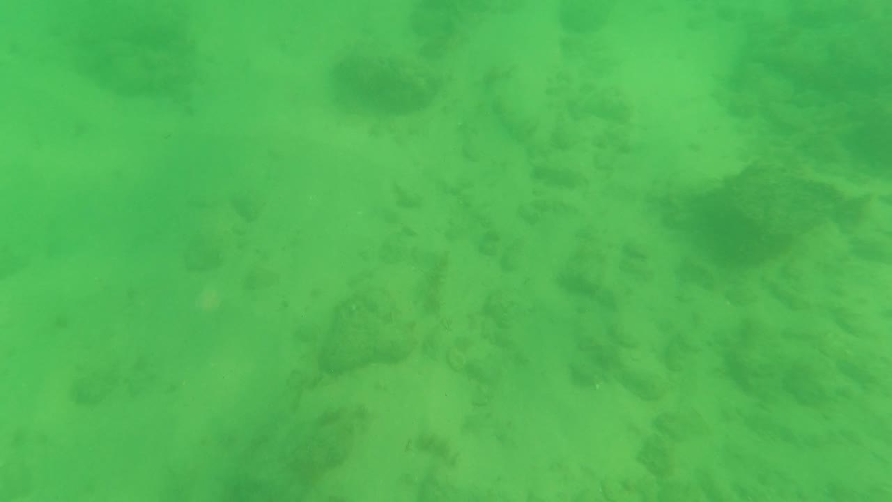 A downward underwater view in Los Barriles shows sandy bottom, scattered rock clusters, and the faint line of a seabed groove, with no visible people.