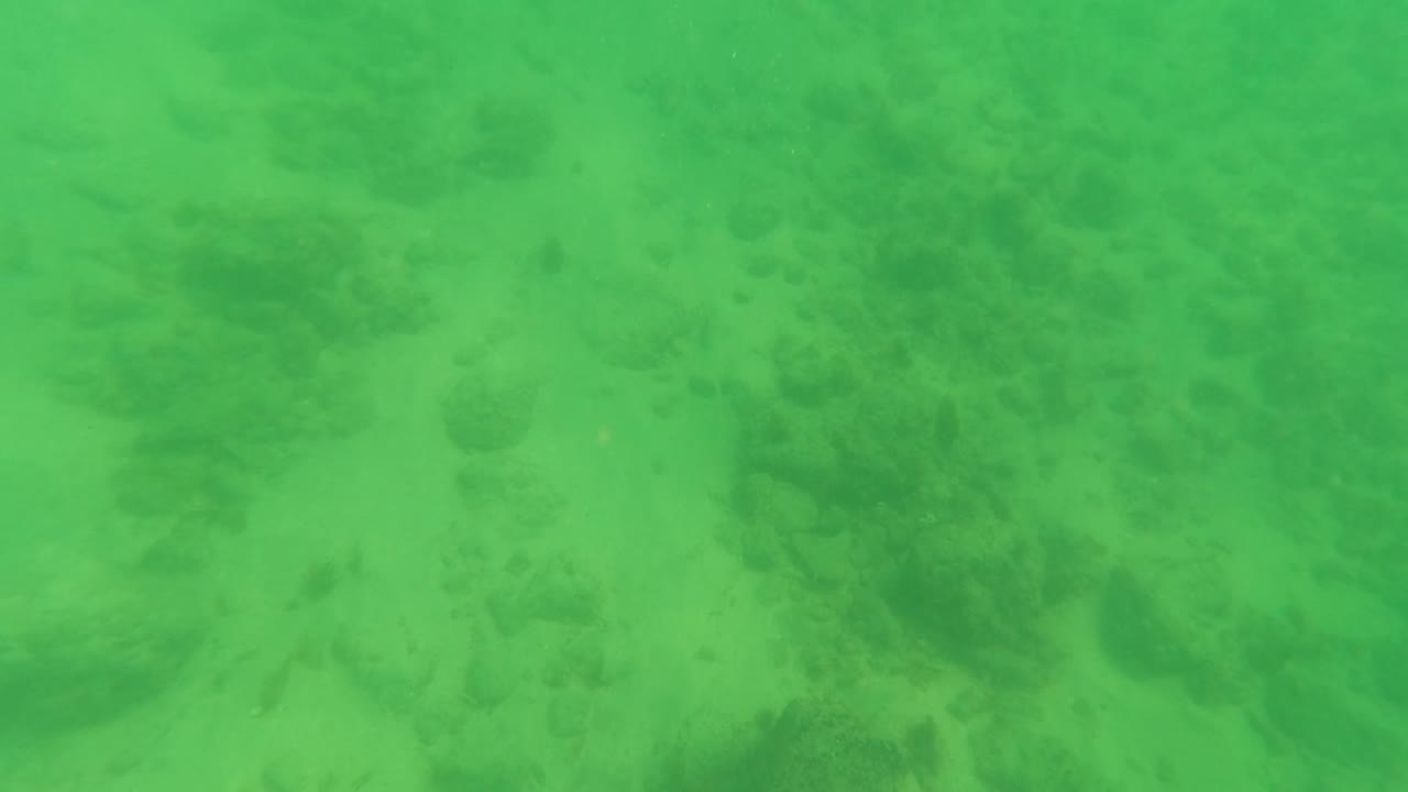 Mid-clip frame from Los Barriles with green water over a sandy floor and a darker rocky band across the lower portion, with no visible people.