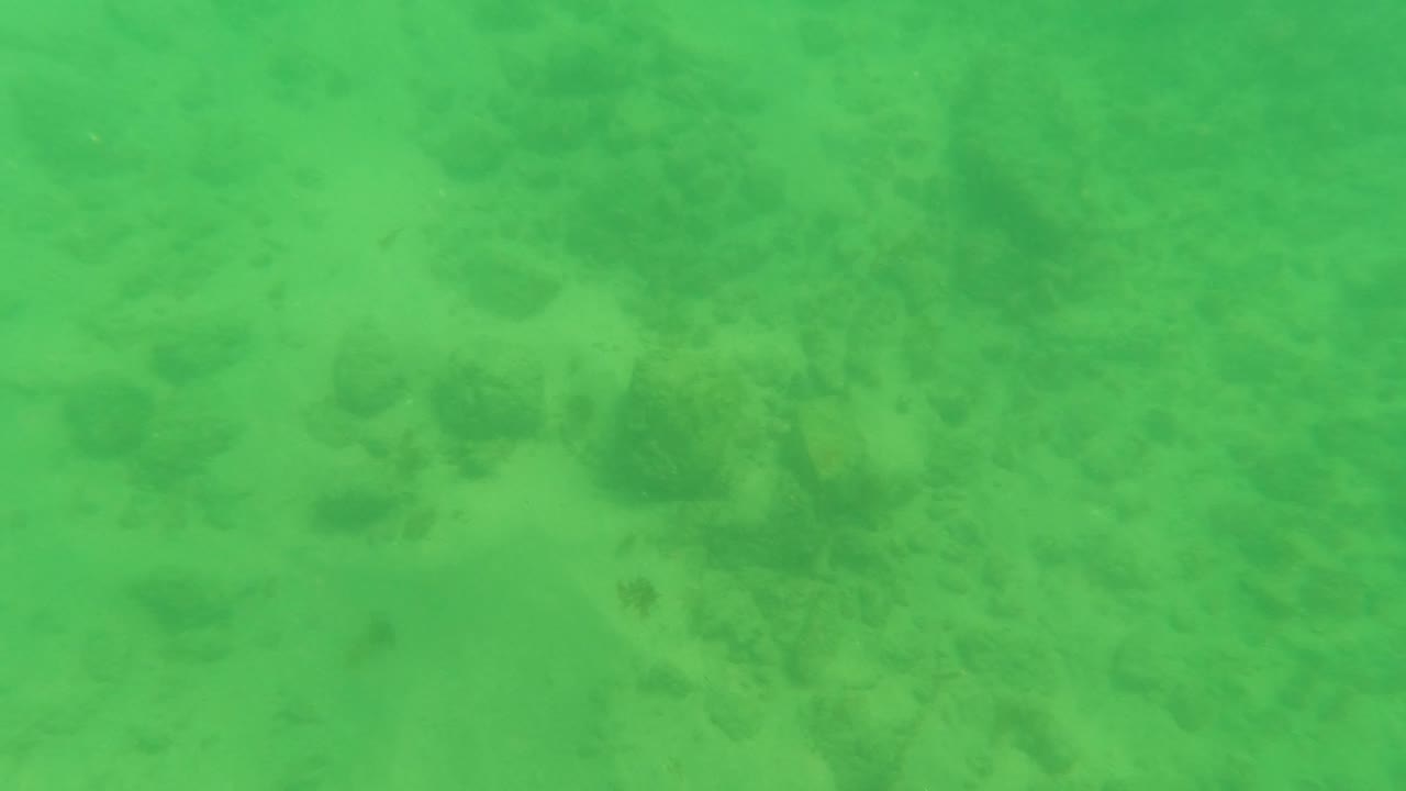Green underwater view of sandy bottom with scattered rocks.