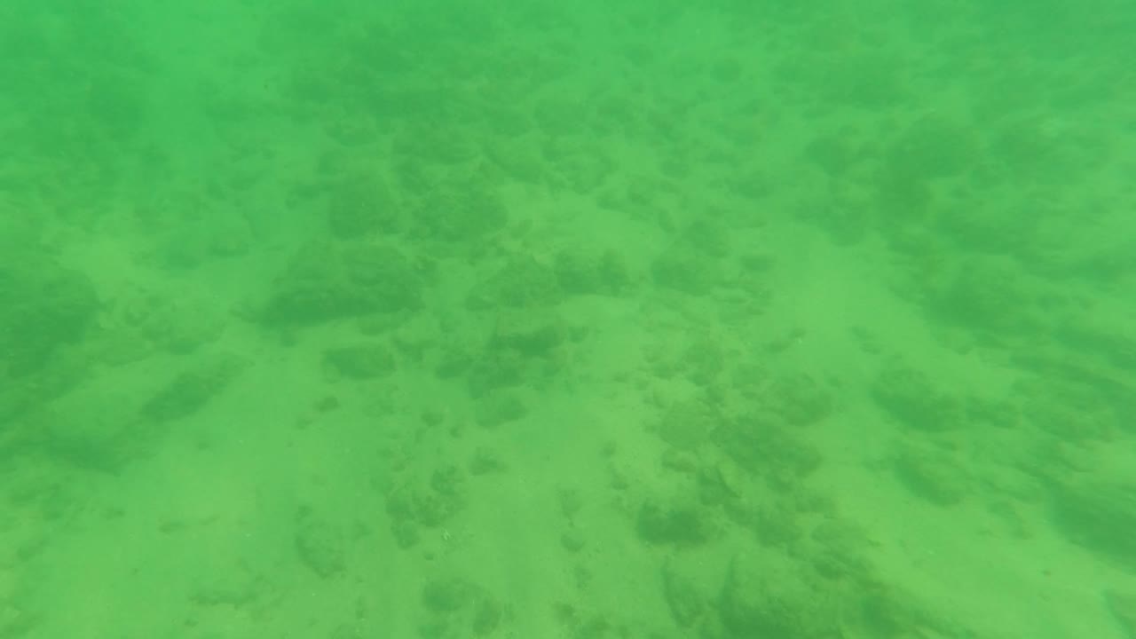 A green underwater frame in Los Barriles, Baja California Sur, Mexico, shows the sandy bottom fading under suspended water color with no visible people.
