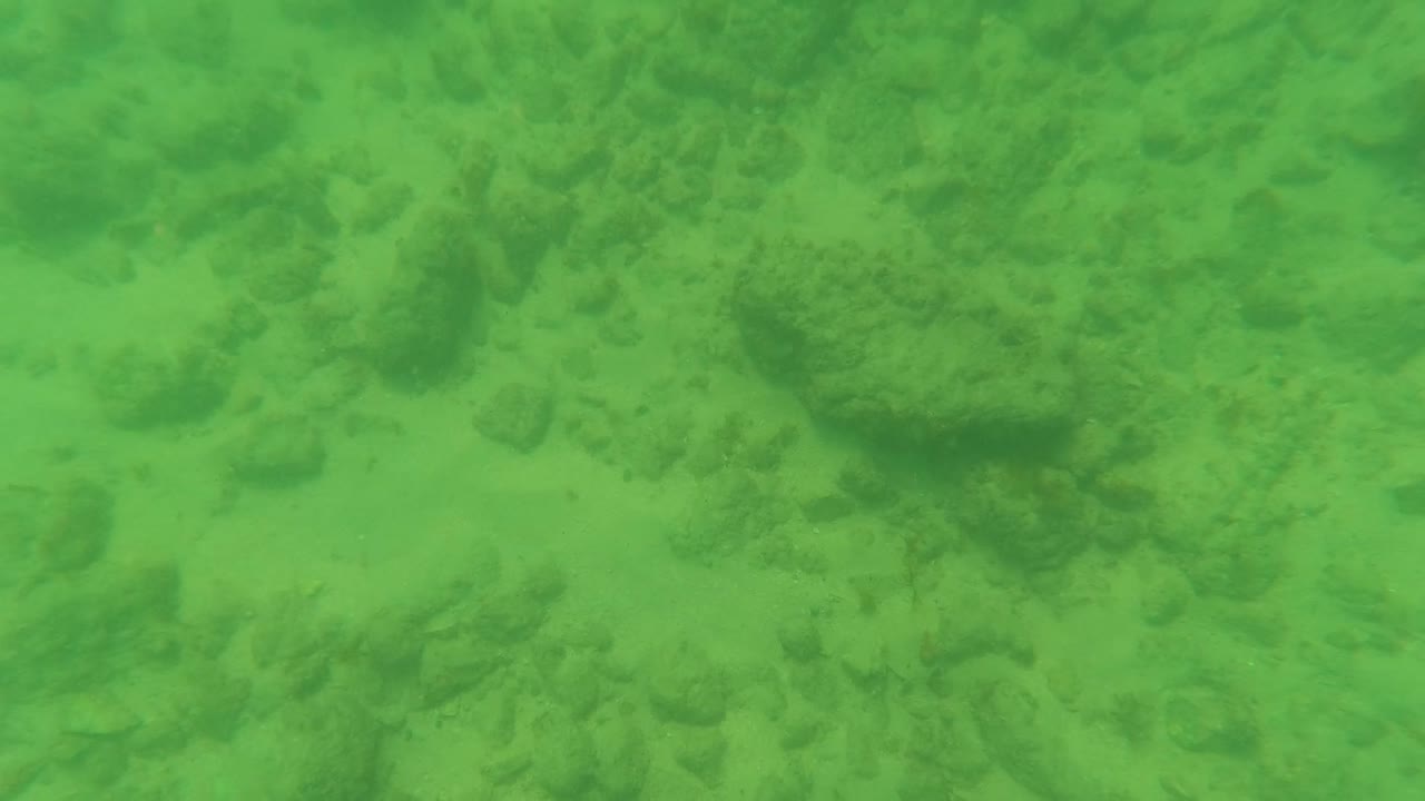 Green-tinted underwater view of the Los Barriles seabed with scattered rocks, pale sand patches, and no visible people at the opening moment.