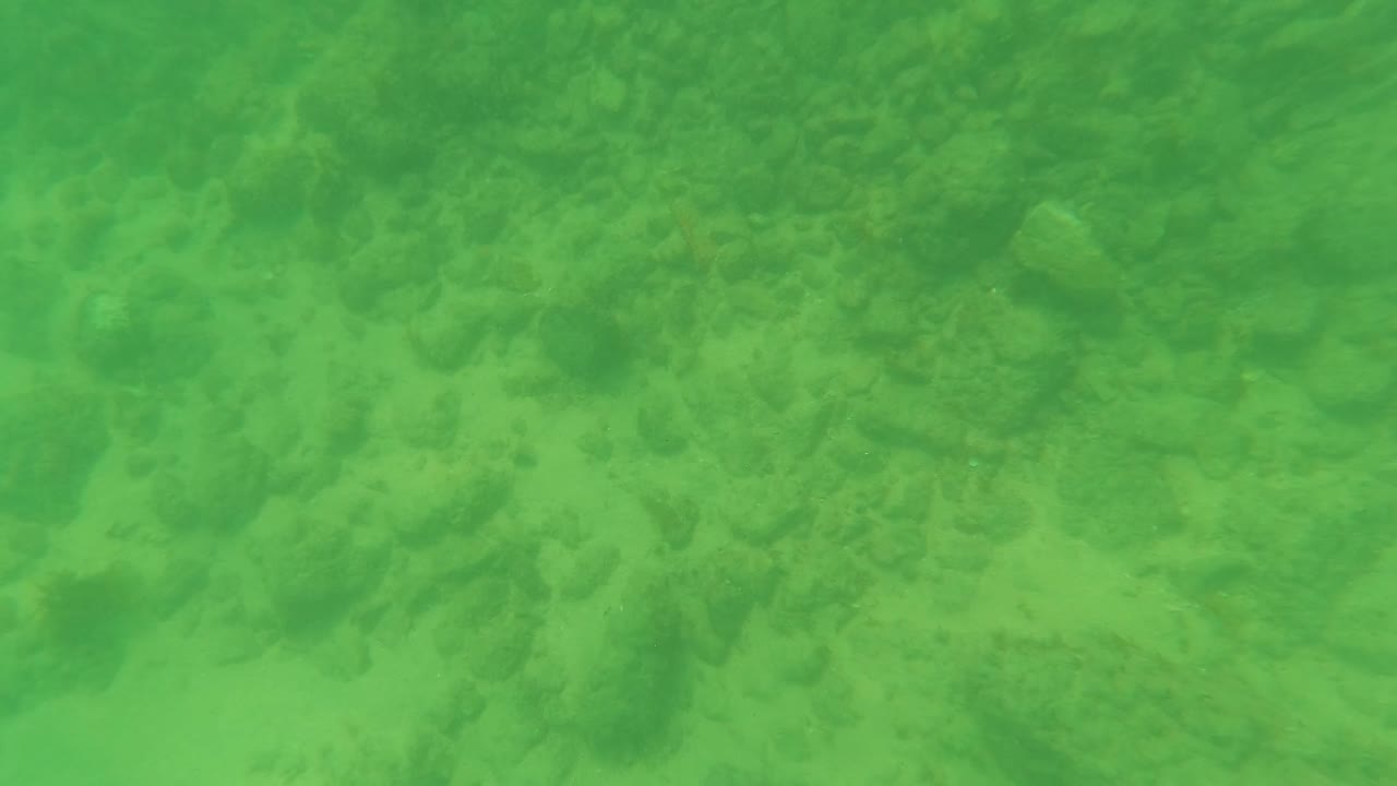 Rocky seabed seen through green water.