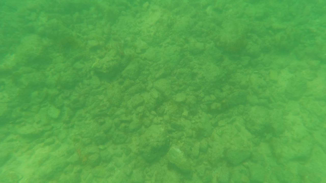 Green underwater frame from Los Barriles showing uneven seabed texture, small rocks, sandy patches, and no visible people.