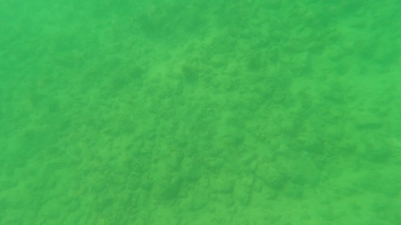 Green underwater view of a sandy ocean floor in Los Barriles, Baja California Sur, Mexico, with soft seabed texture and no visible people.