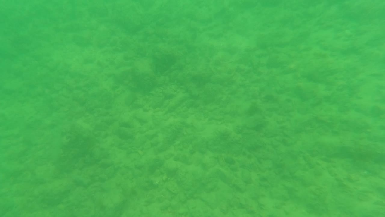 Underwater frame from Los Barriles, Baja California Sur, Mexico, showing a muted sandy seabed through green water with no visible people.
