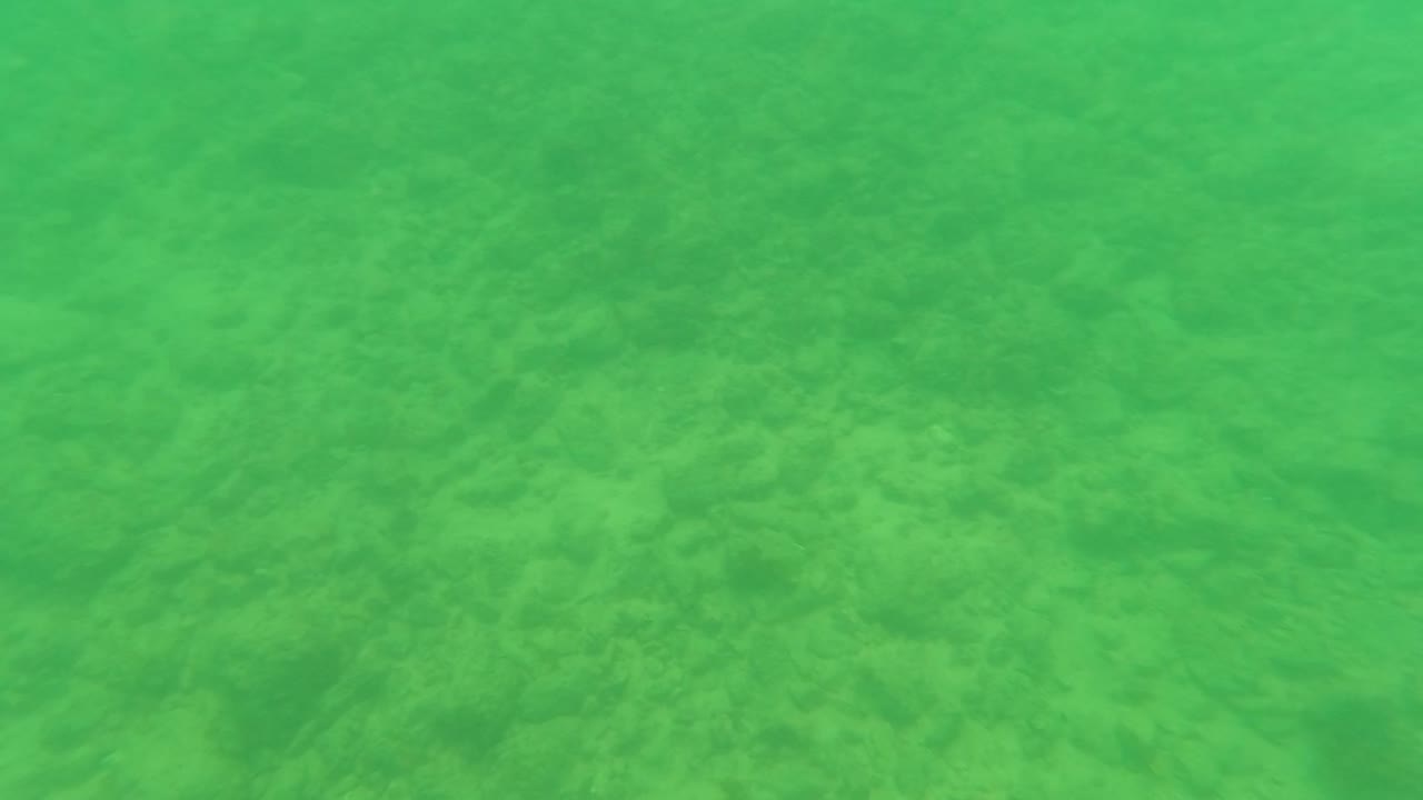 Green-tinted underwater view in Los Barriles, Baja California Sur, Mexico, with the sandy ocean floor filling the frame and no visible people.