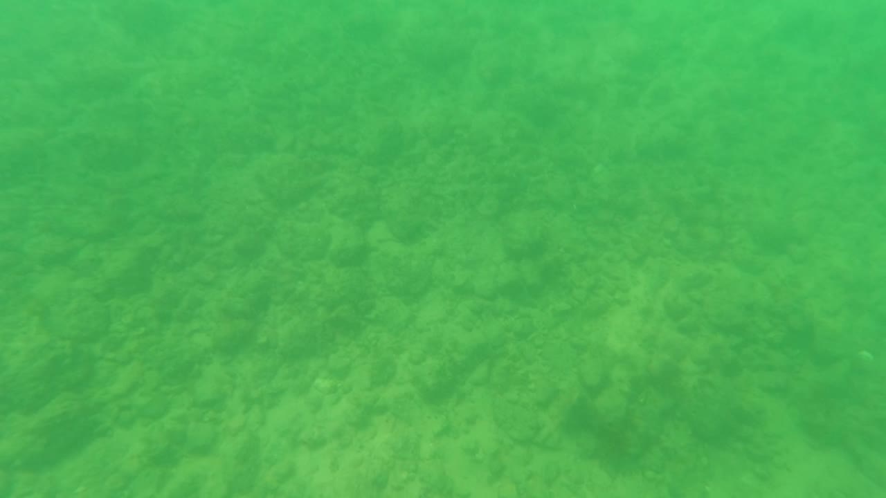 Underwater sandy bottom in green shallow water.