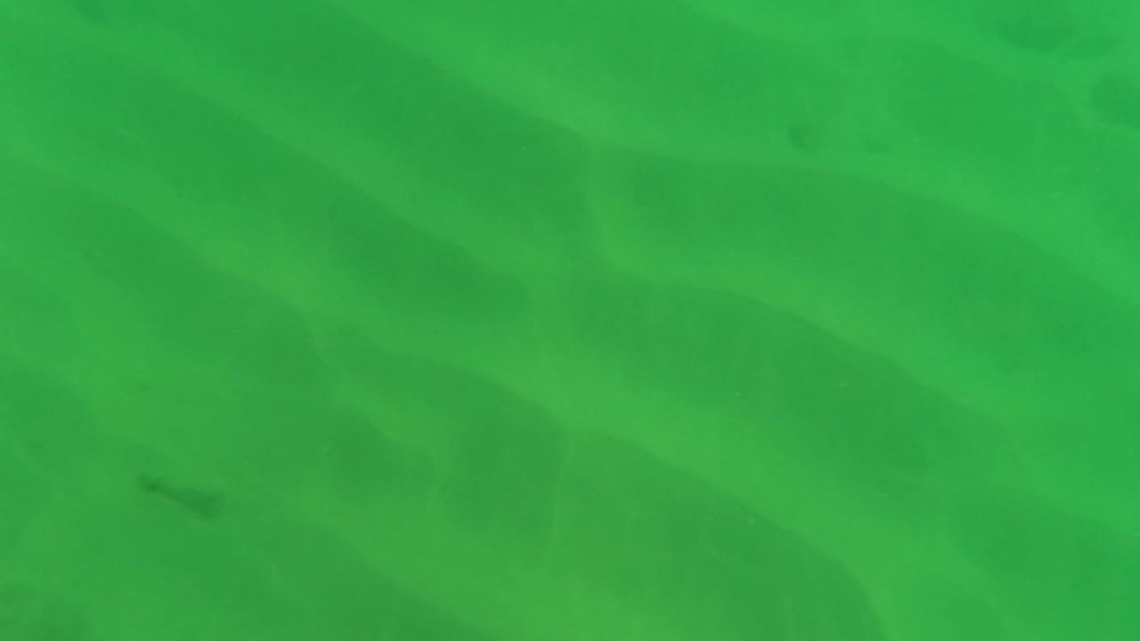 Underwater green-tinted view in Los Barriles, Baja California Sur, showing a shallow sandy seabed with soft ripple patterns and scattered darker rocks, no visible people.