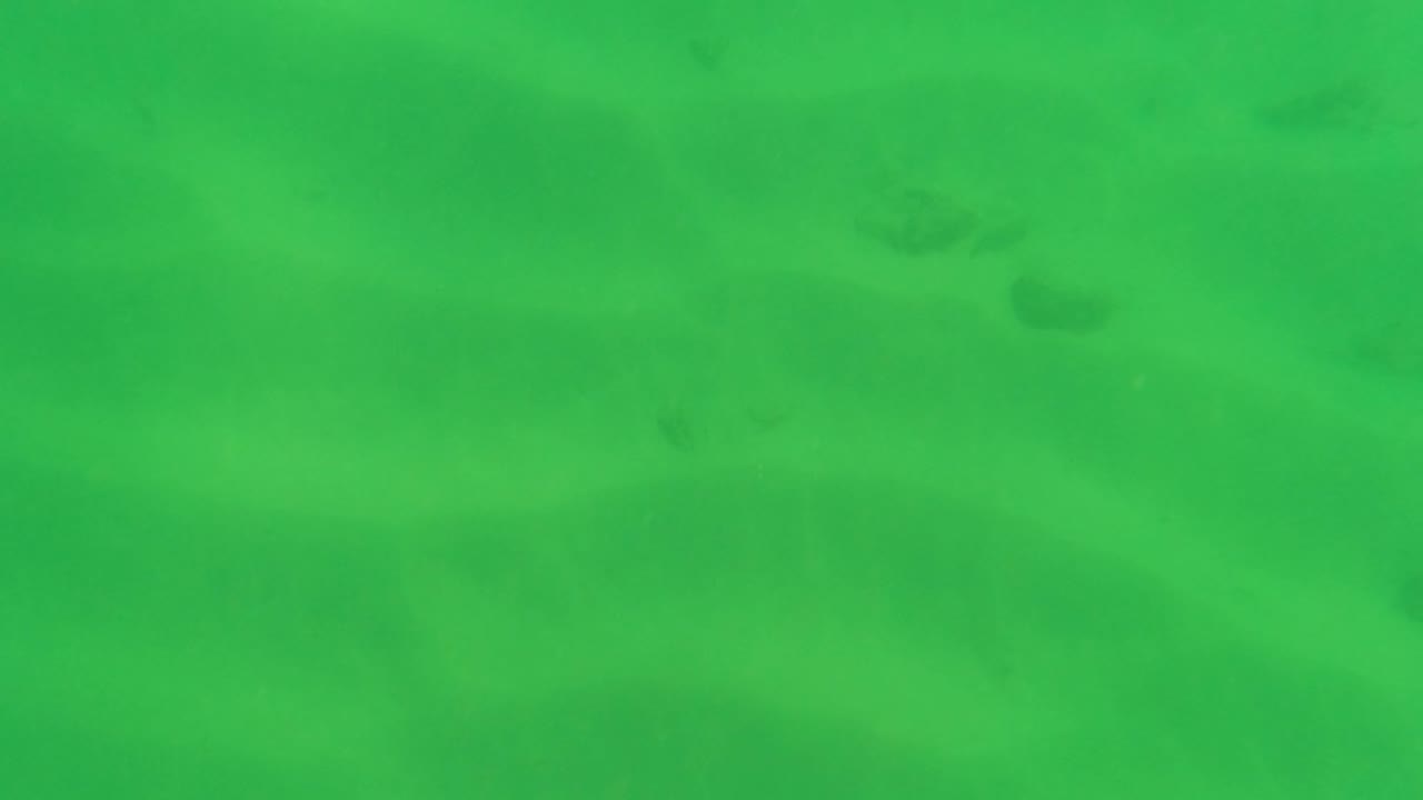 Shallow underwater frame from Los Barriles, Baja California Sur, with green water, rippled sand, scattered rocks, and a dark partial swimmer shape near the right edge, no identifiable person visible.