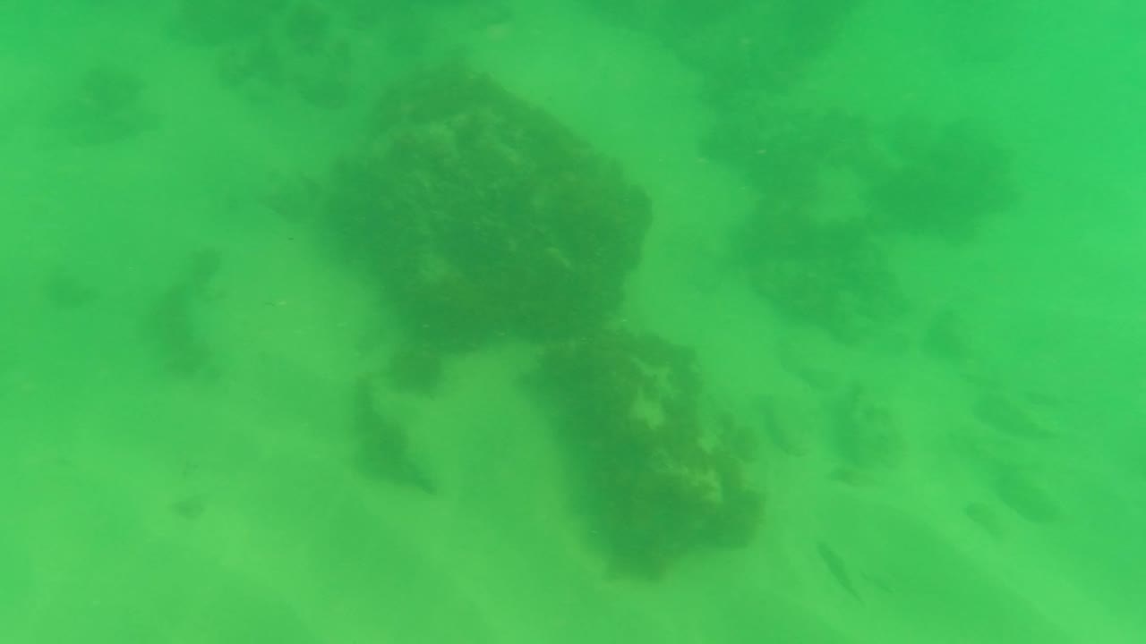 Green underwater view of sandy seabed with dark rocks
