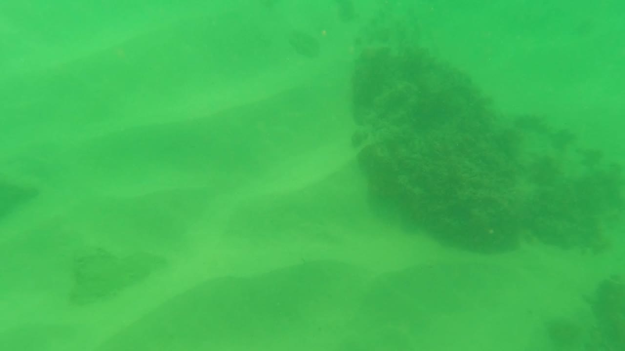 Underwater frame from Los Barriles showing green water, pale sand, and several dark rock patches spread across the seabed with no visible people.