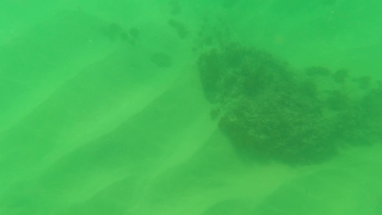 Green underwater view in Los Barriles with muted light over a sandy bottom and darker rock forms set farther back, with no visible people.