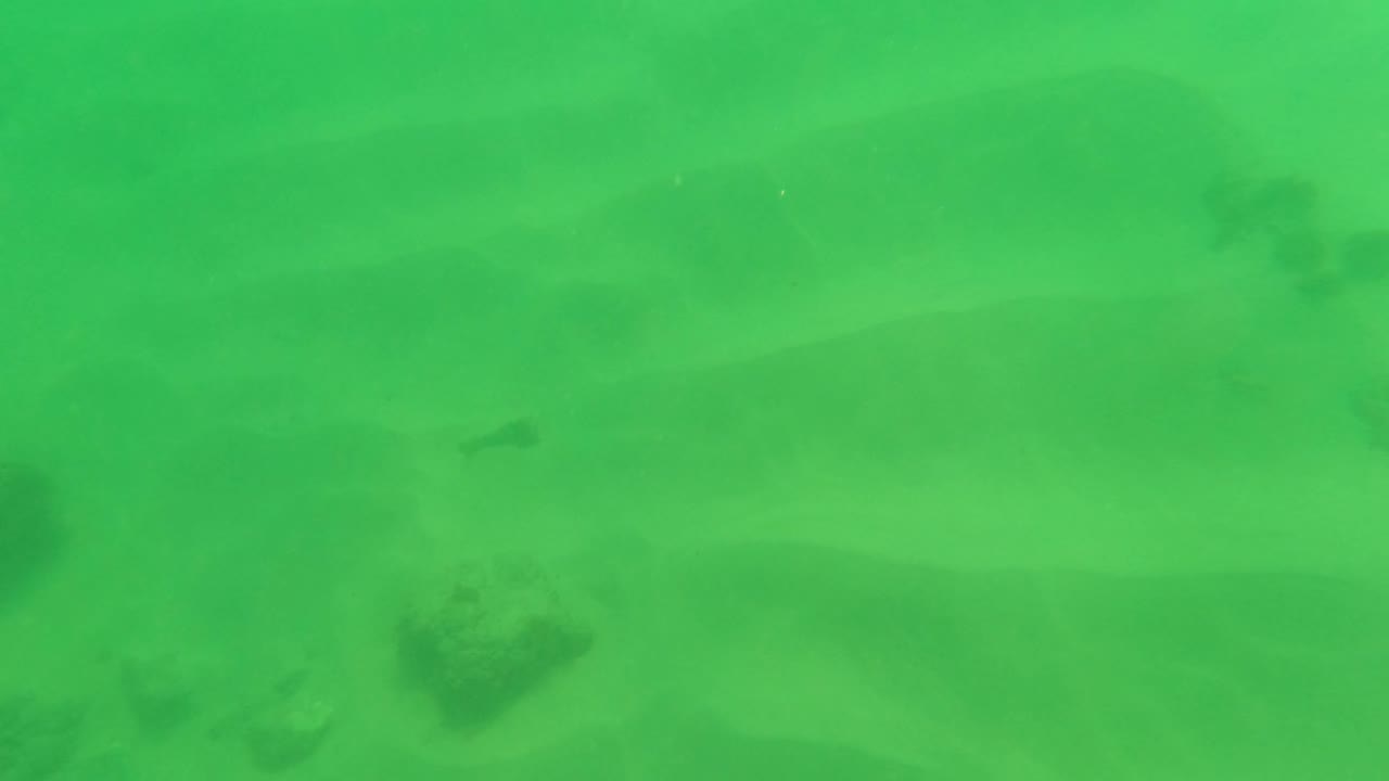 Underwater frame from Los Barriles with the sandy seabed fading through green water and dark rocks appearing less defined, with no visible people.