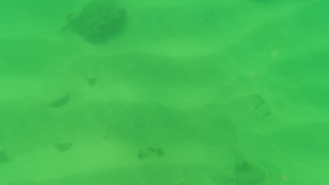 Underwater view in Los Barriles, Baja California Sur, showing a green-tinted sandy seabed with scattered dark rocks and no visible people.