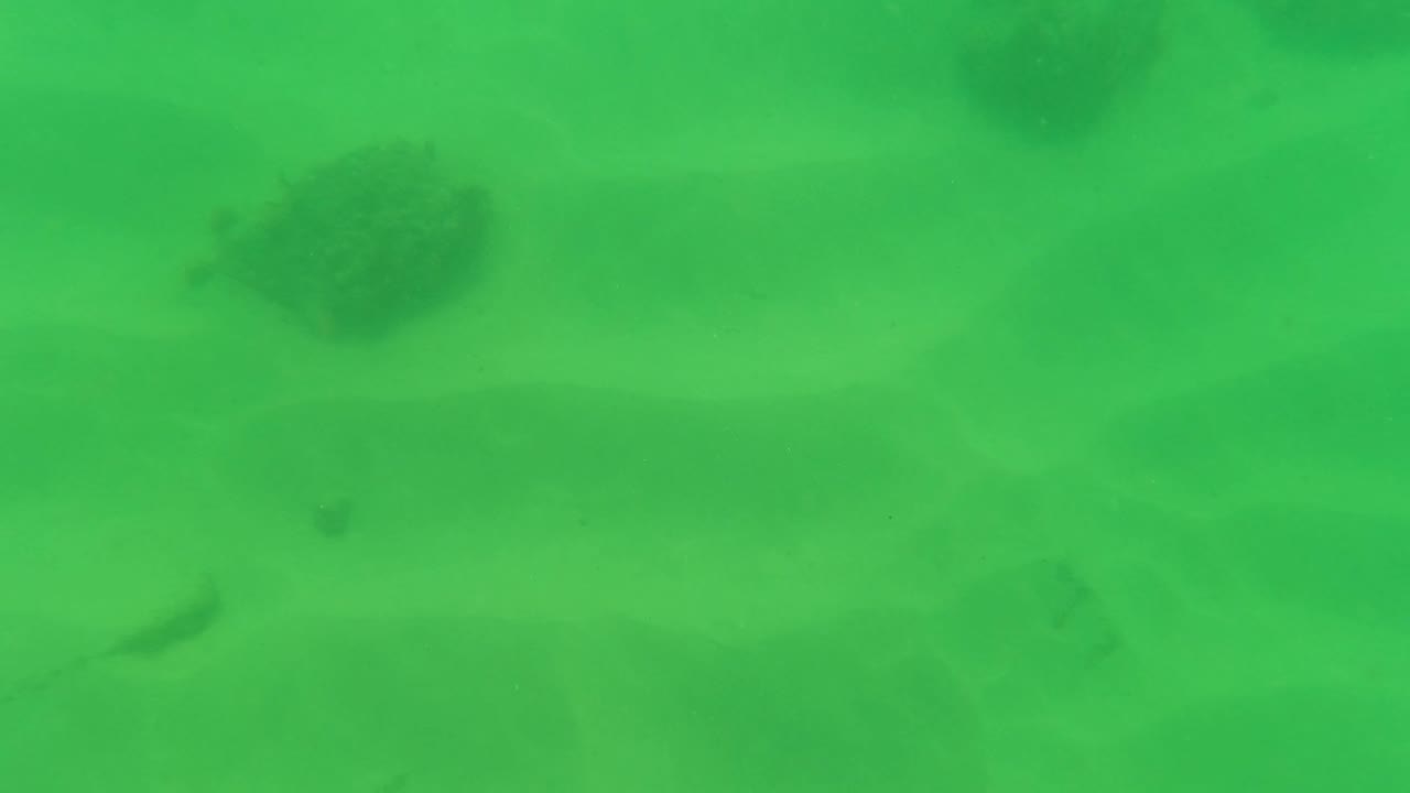 Sandy ocean floor with darker rocks under green water
