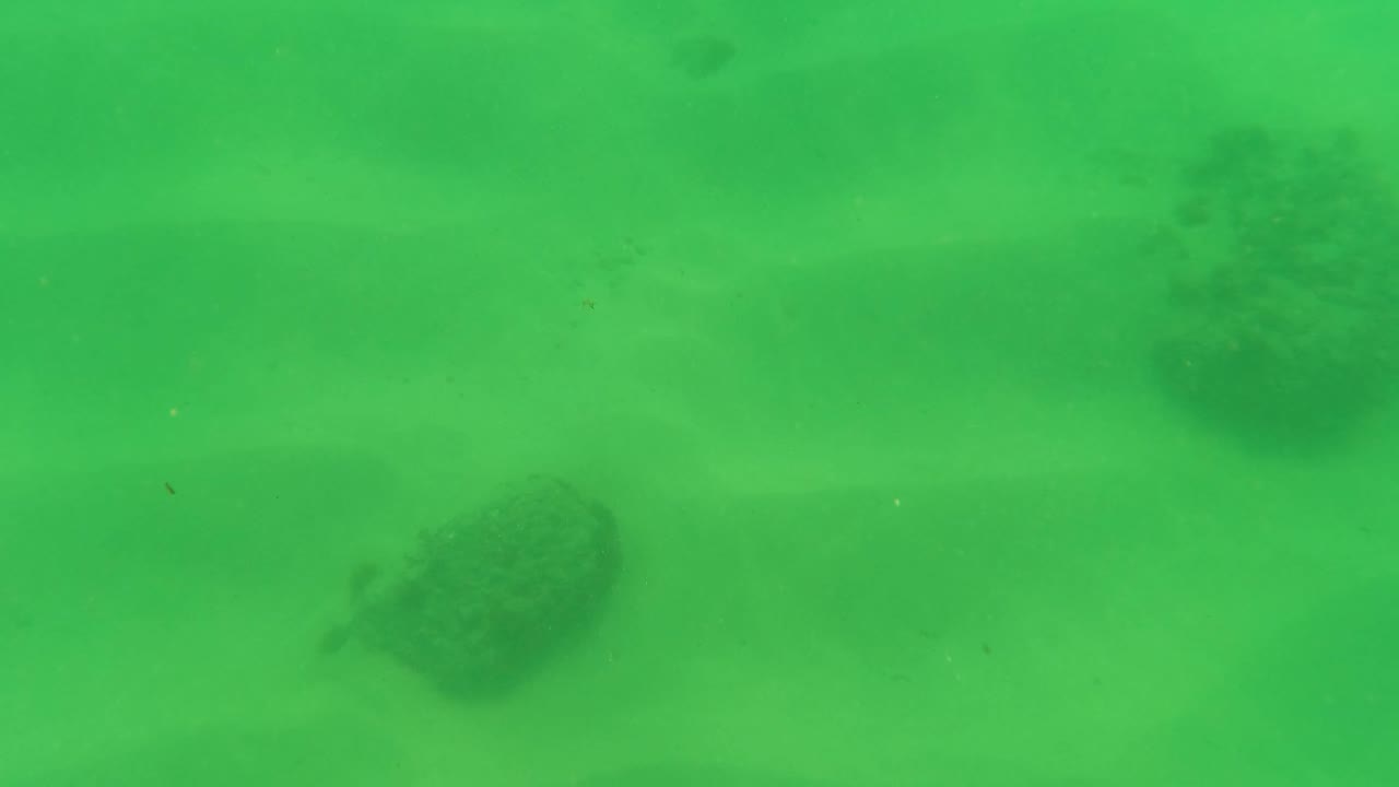 Green-tinted underwater view in Los Barriles with a mostly open sandy bottom, faint seabed texture, dark rock shapes, and no visible people.