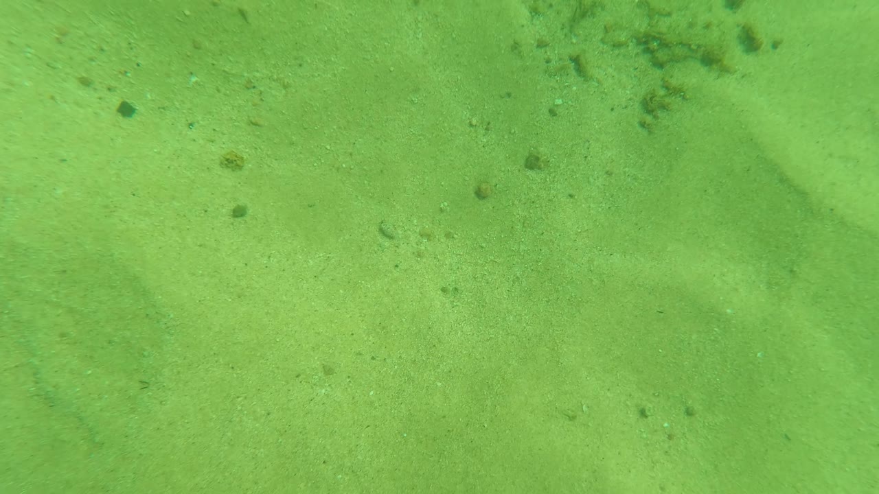 Los Barriles BCS Mexico underwater frame with pale sand, scattered dark specks, faint seabed ripples, and no visible people.